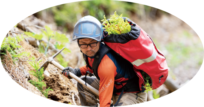 森林（もり）の仕事ガイダンス